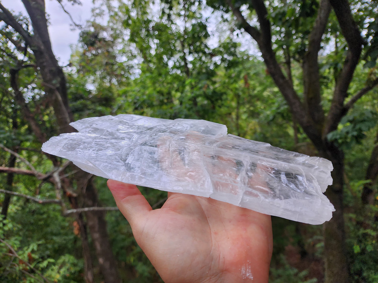 Large True Selenite Crystal Plate