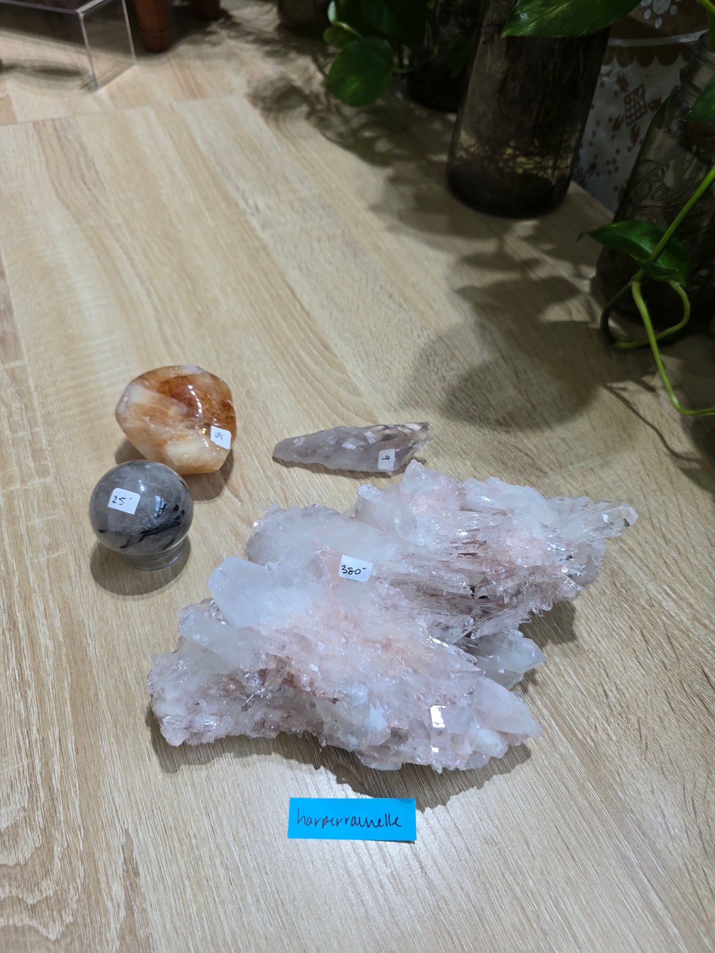 Harperrachelle 7/29 live sale
