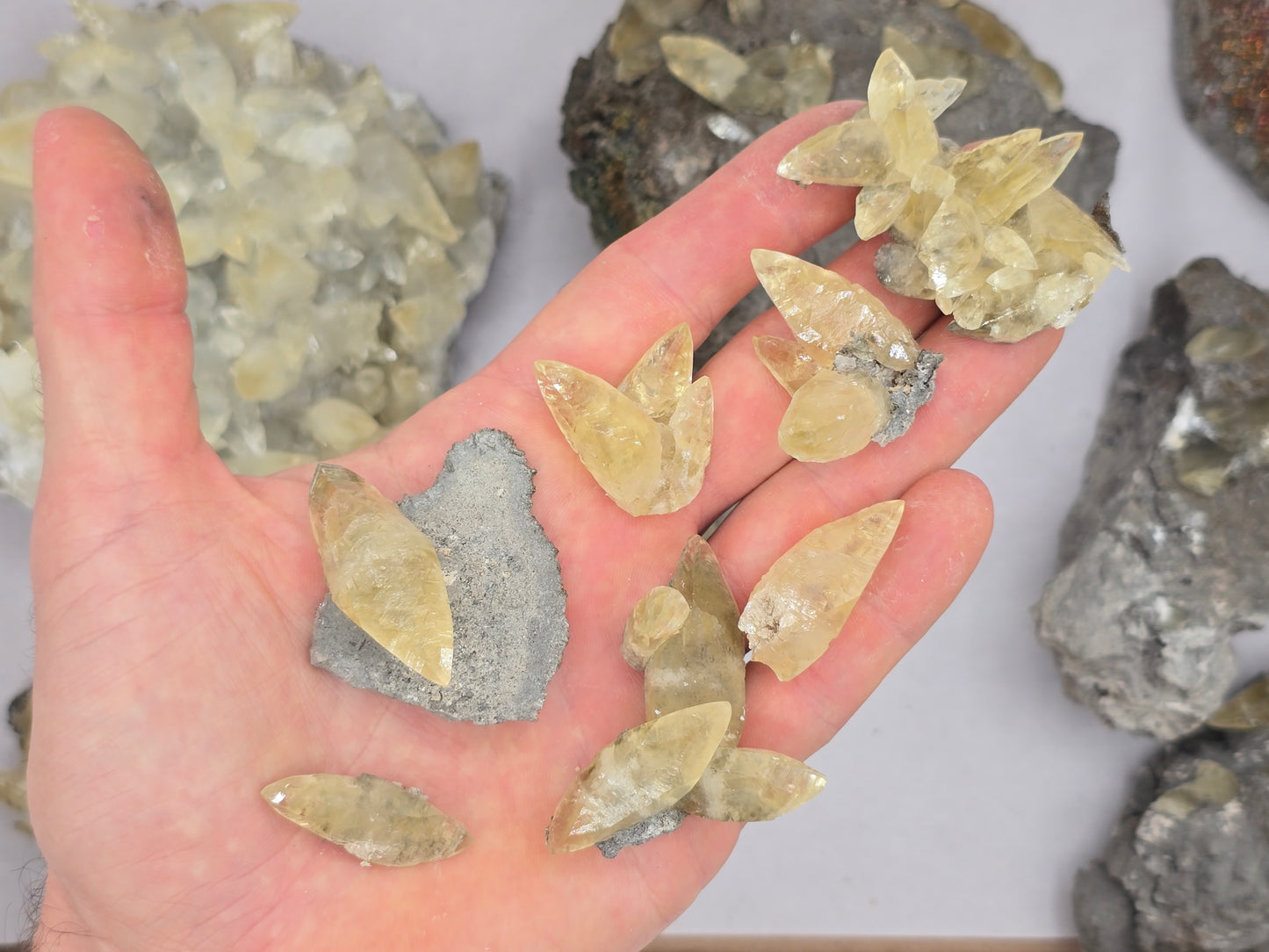 Sweetwater Calcite Flat #3