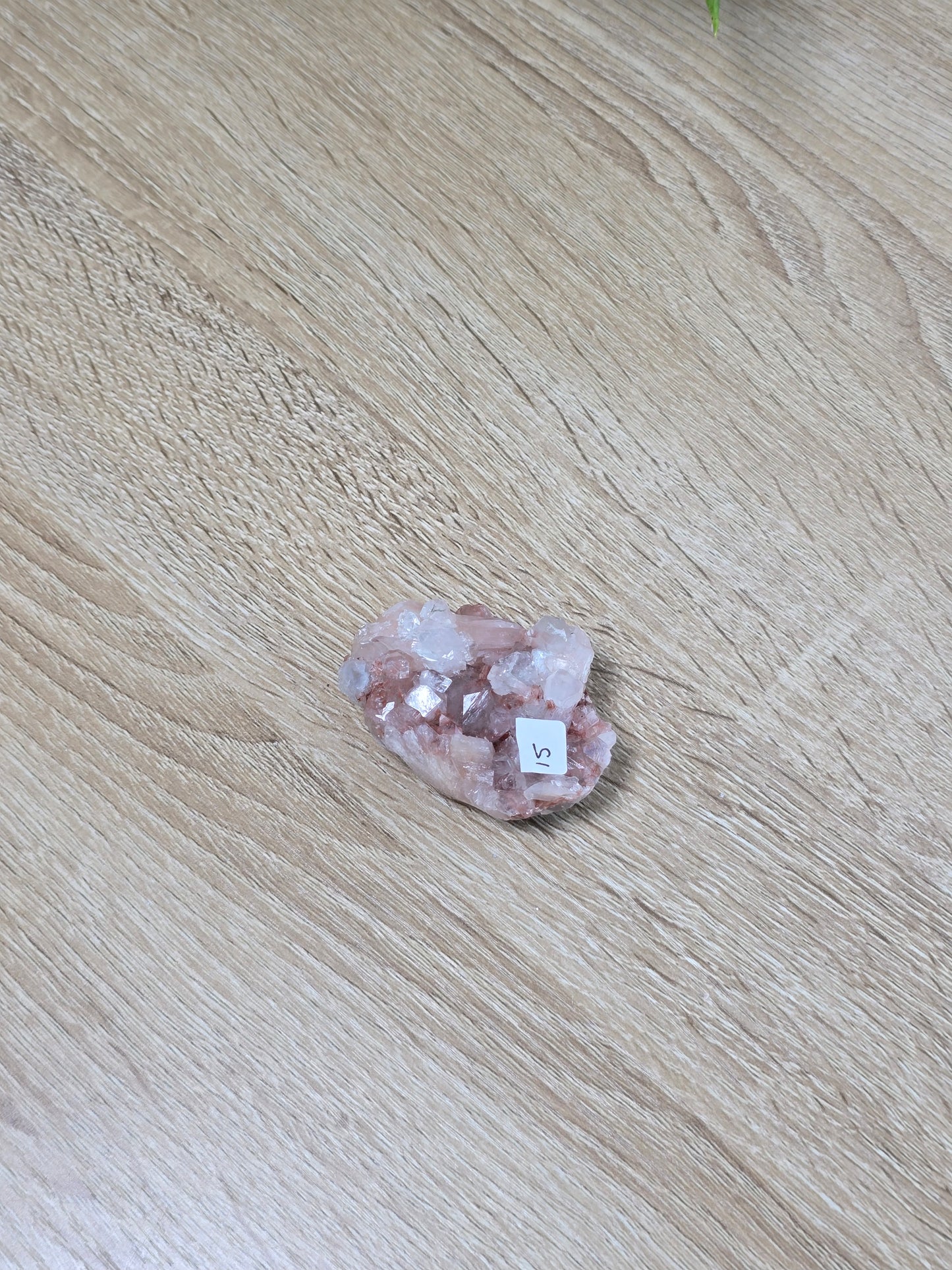 Naturallymaani 3/5 live sale