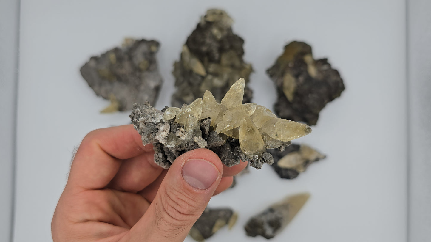 Sweetwater Calcite Flat #6