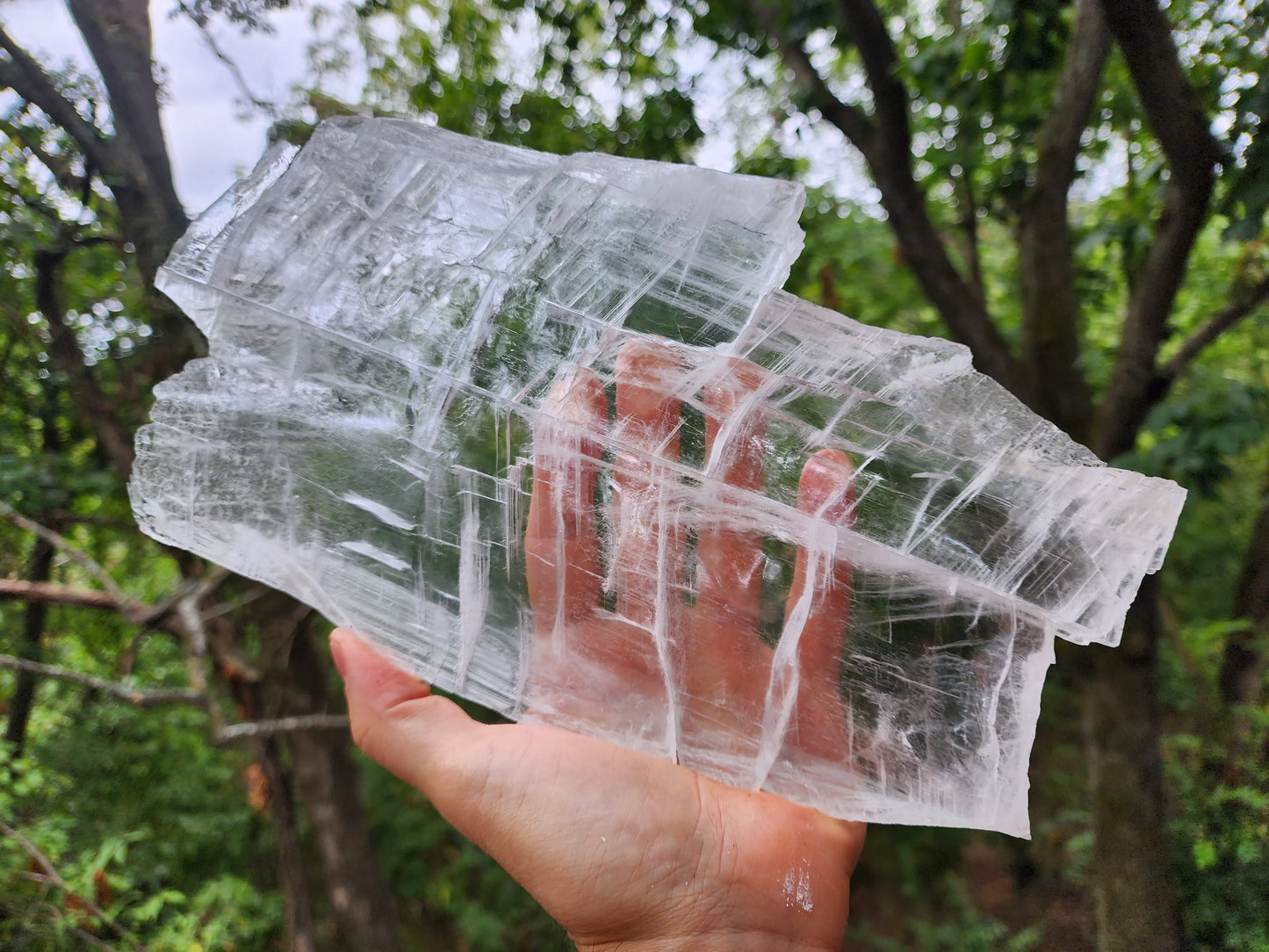 Large True Selenite Crystal Plate