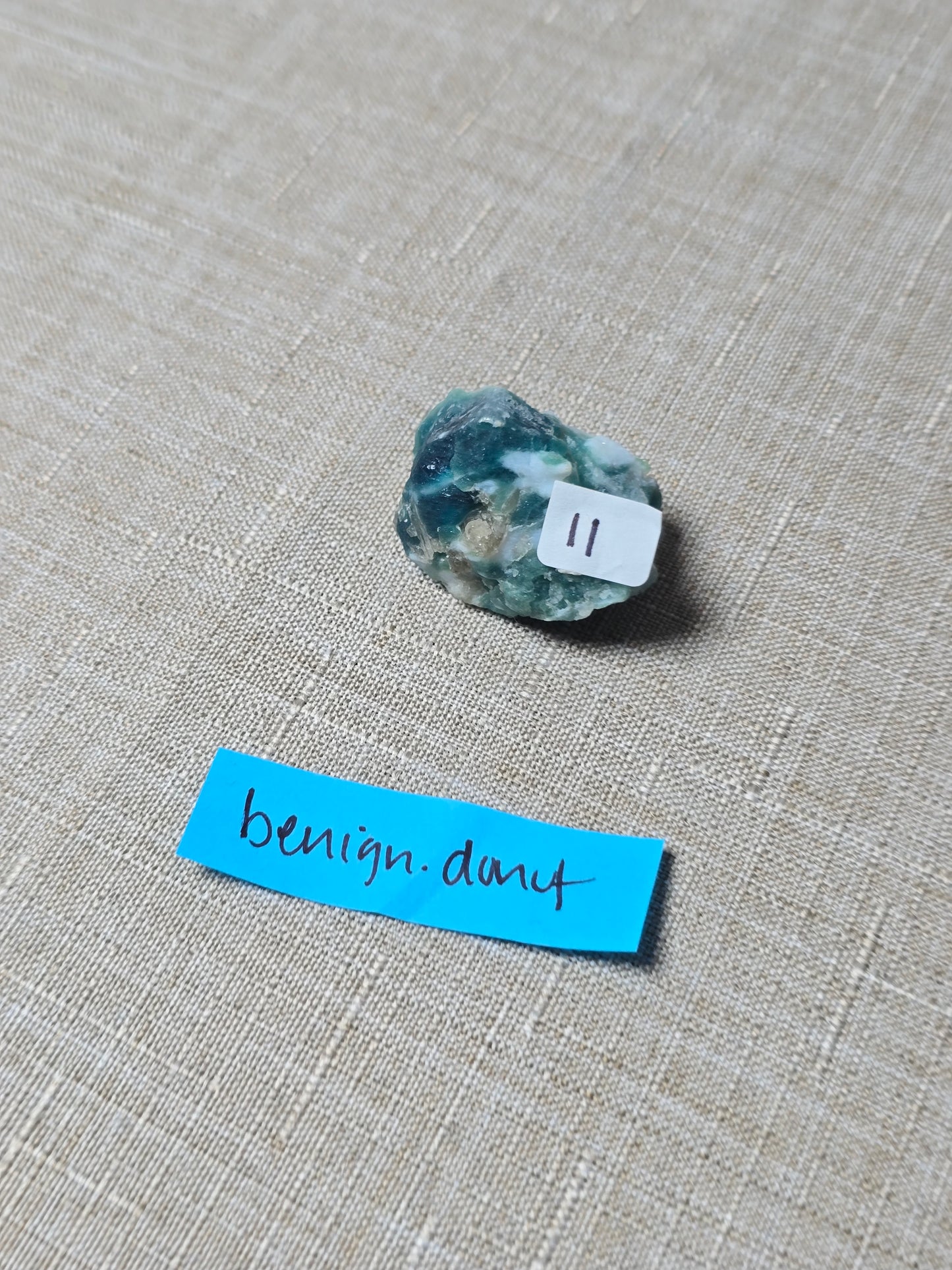 Benign.donut 7/22 live sale