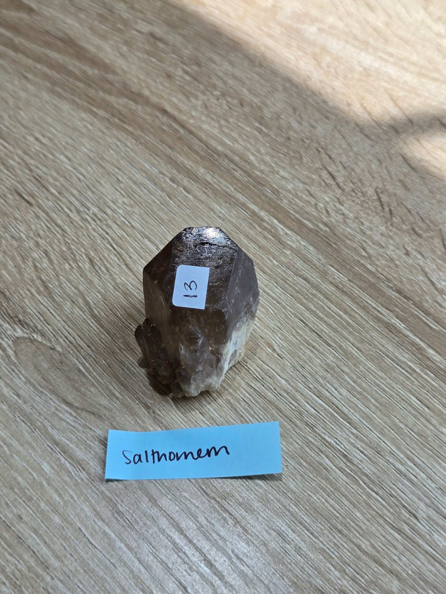 Salthornem 8/6 live sale