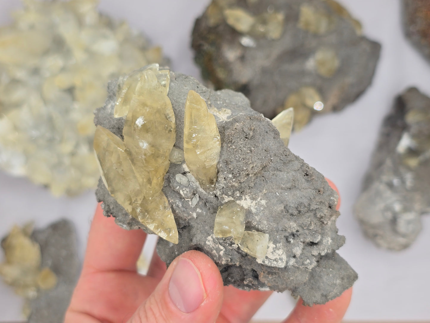 Sweetwater Calcite Flat #3