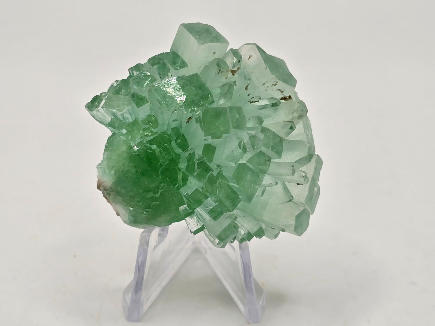 Disco Ball Green Apophyllite || #105
