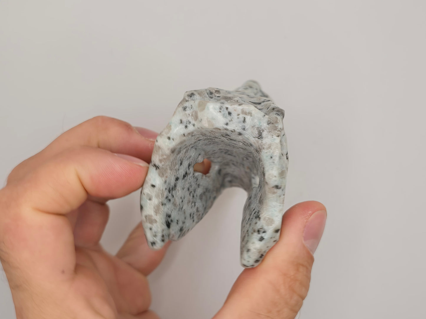 Kiwi Jasper T-Rex Skull || Dinosaur Skull || T-Rex Carving || #83