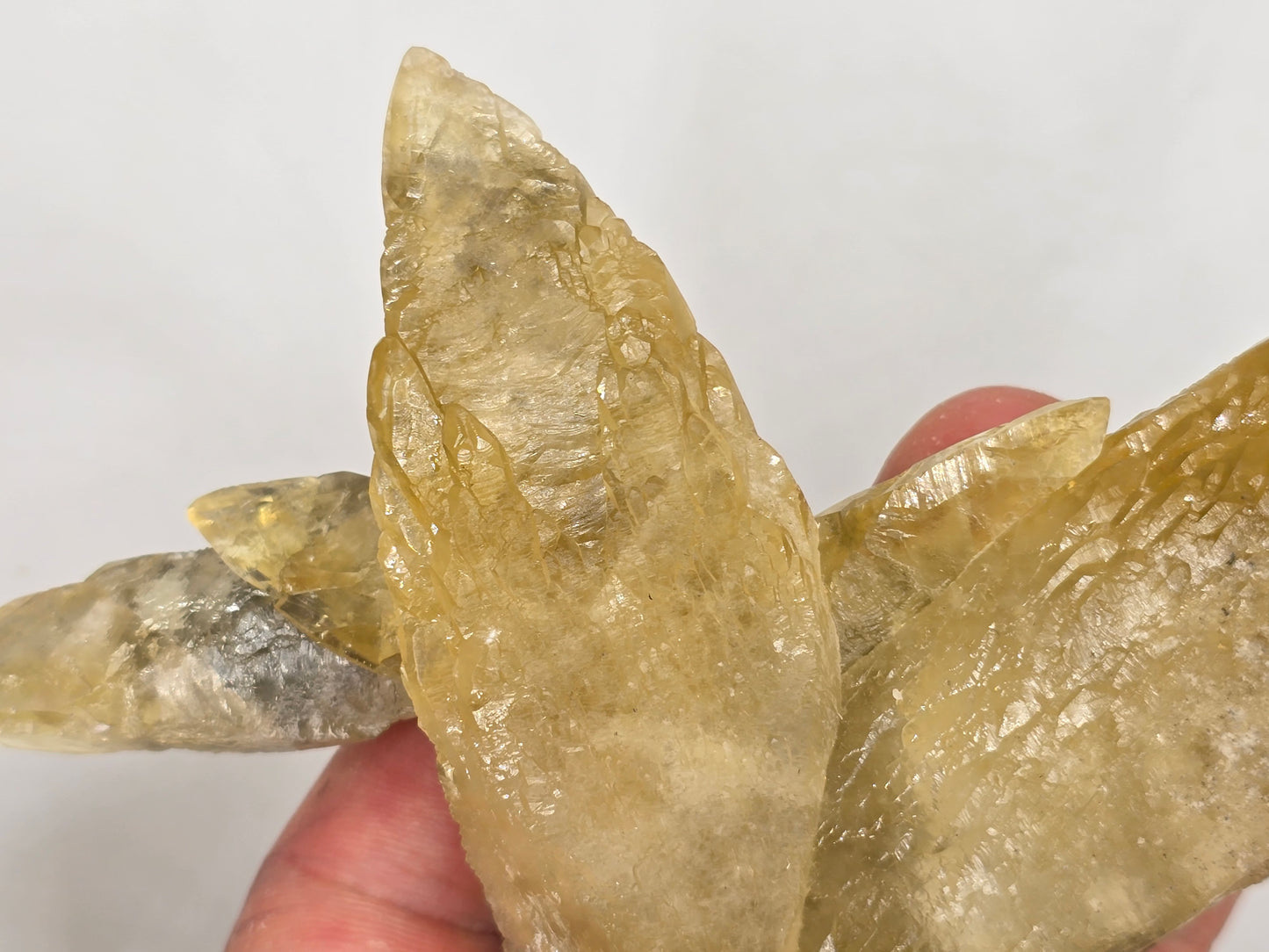 Sweetwater Calcite Cluster || #90