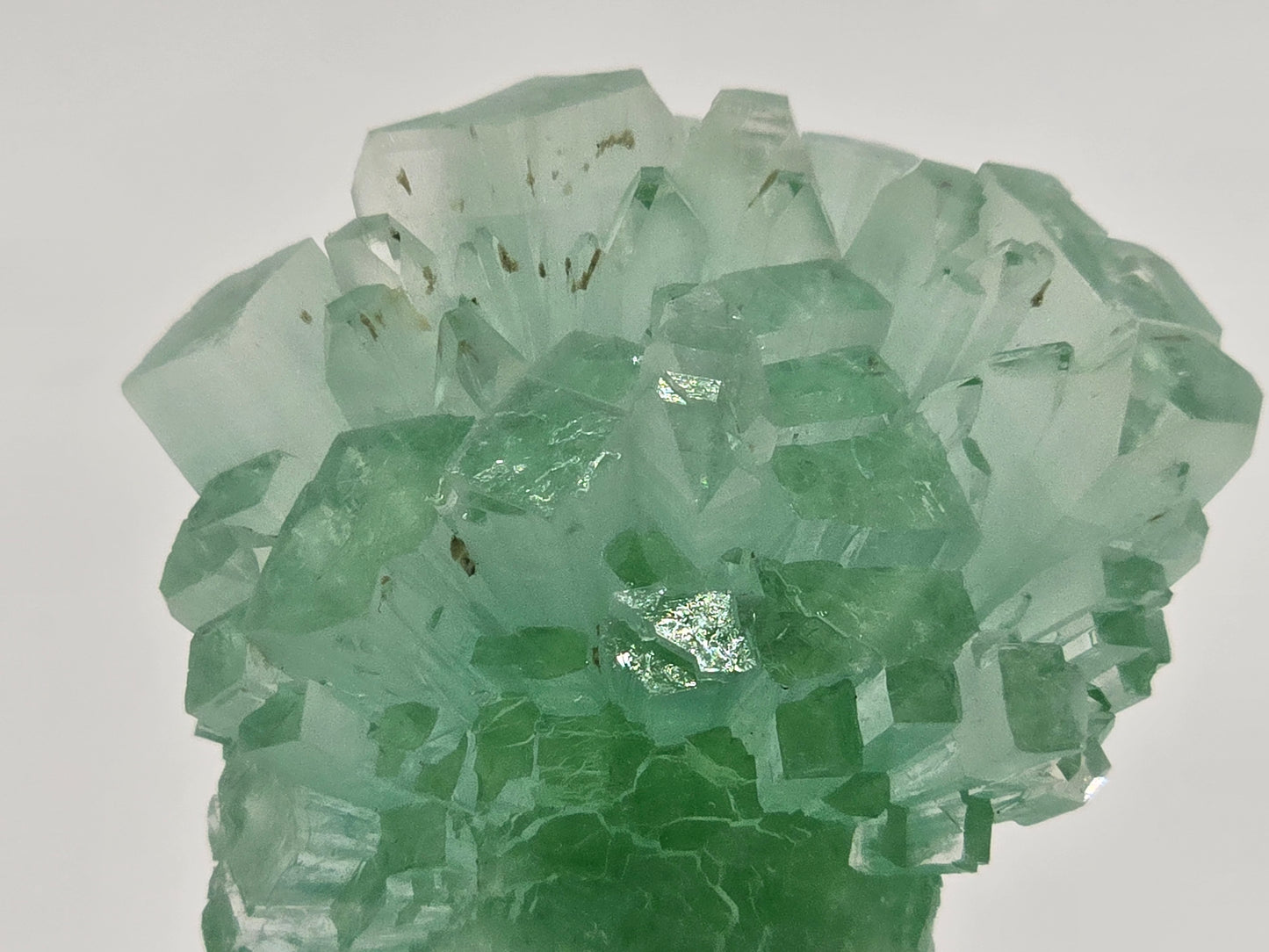 Disco Ball Green Apophyllite || #105