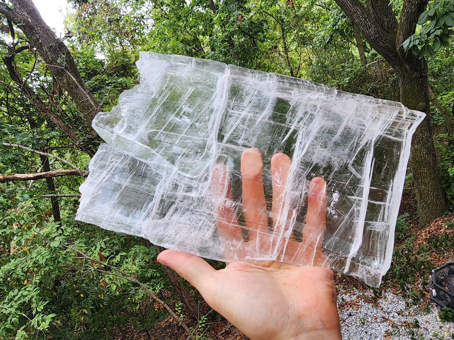 Large True Selenite Crystal Plate