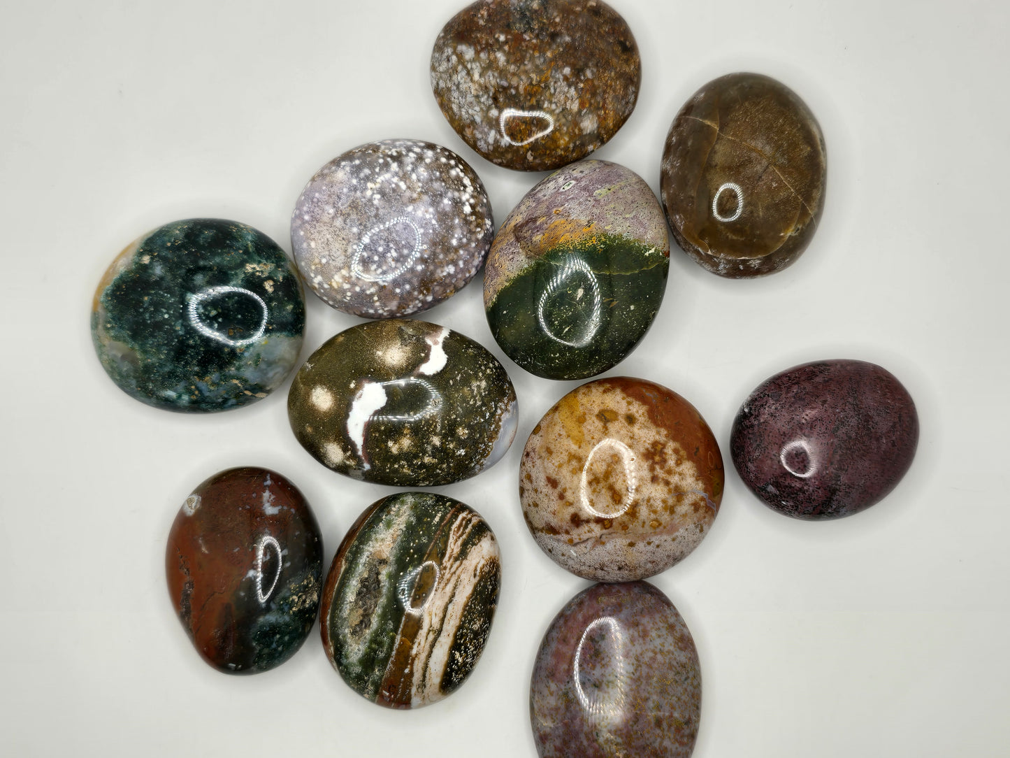 Ocean Jasper Palmstone
