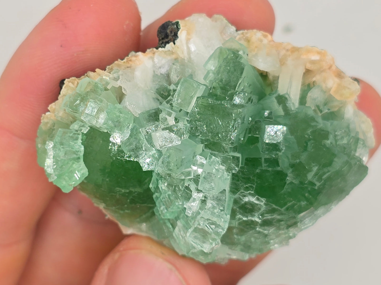 Disco Ball Green Apophyllite Cluster || #107