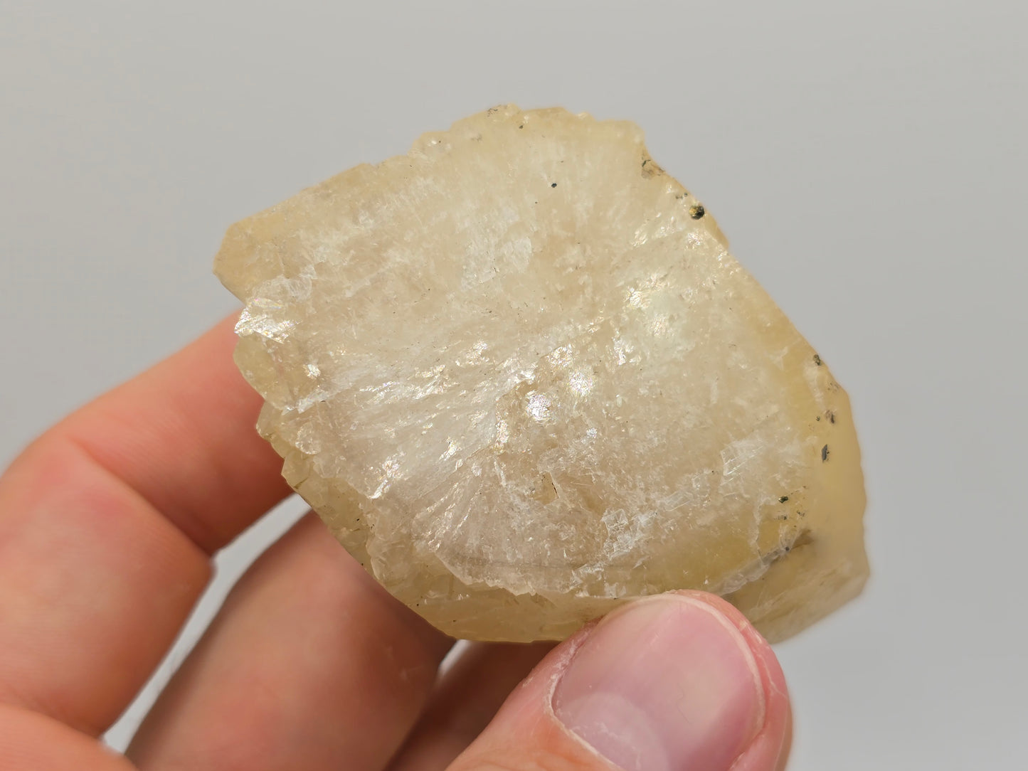 Sweetwater Calcite Point with Chalcopyrite Phantom || #95