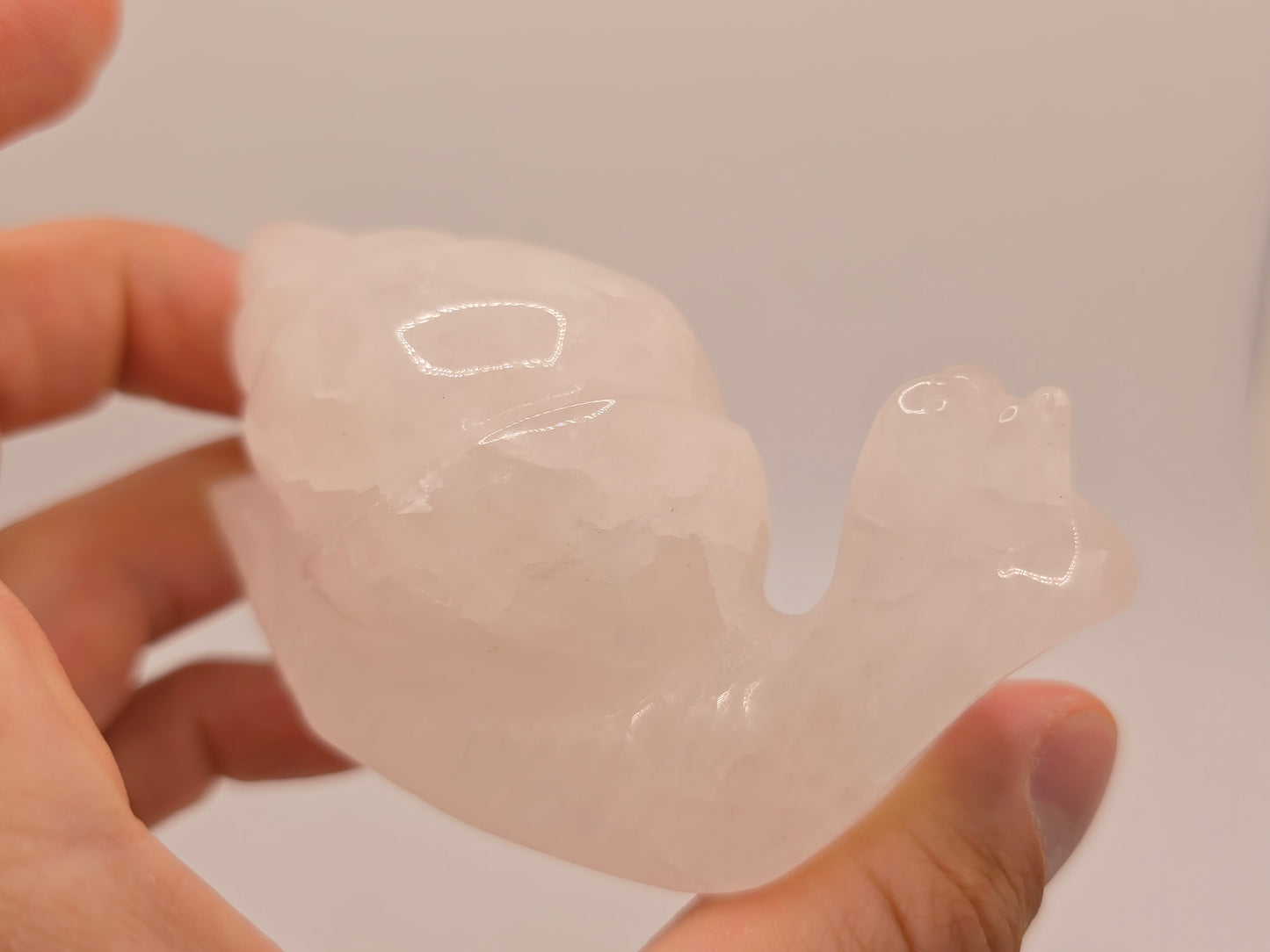 Rose Quartz Snail || Snail Carving || #85