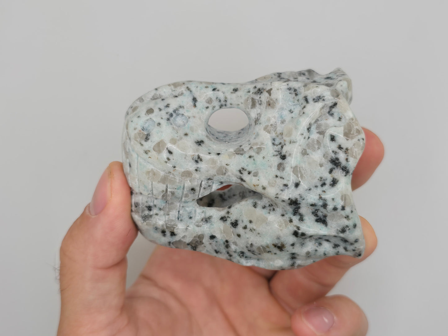 Kiwi Jasper T-Rex Skull || Dinosaur Skull || T-Rex Carving || #83