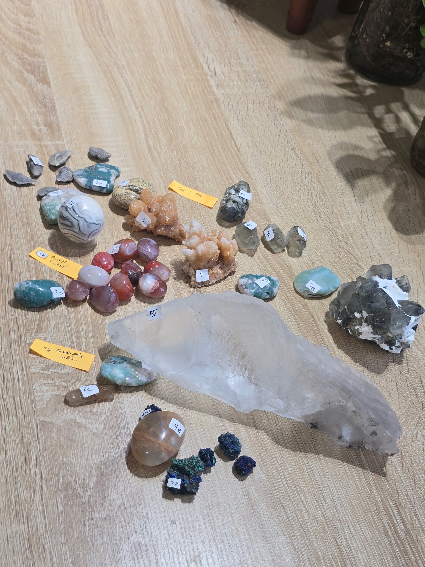 Paleo_mom_lfaw 6/28 live sale