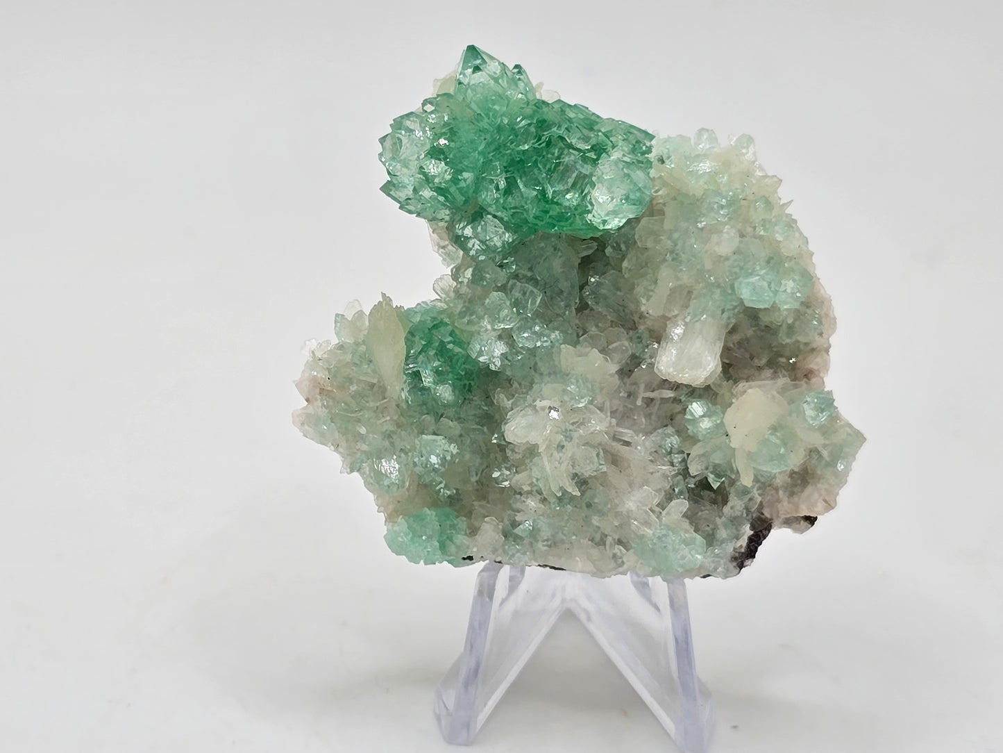 Green Apophyllite Cluster || #108