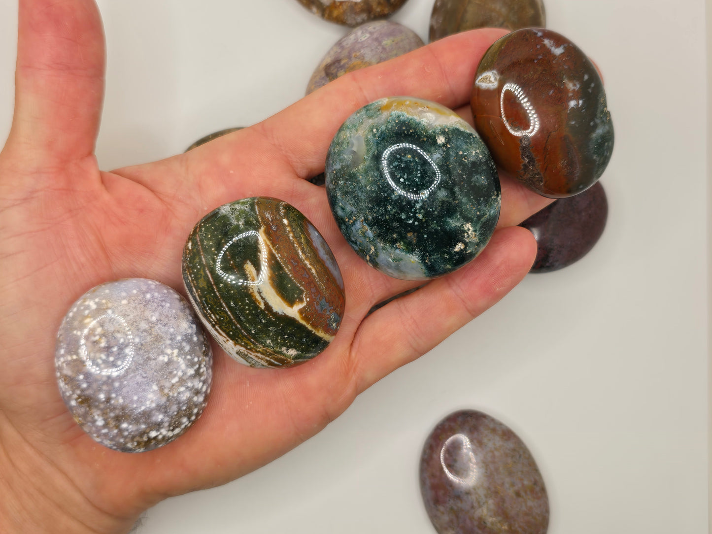 Ocean Jasper Palmstone