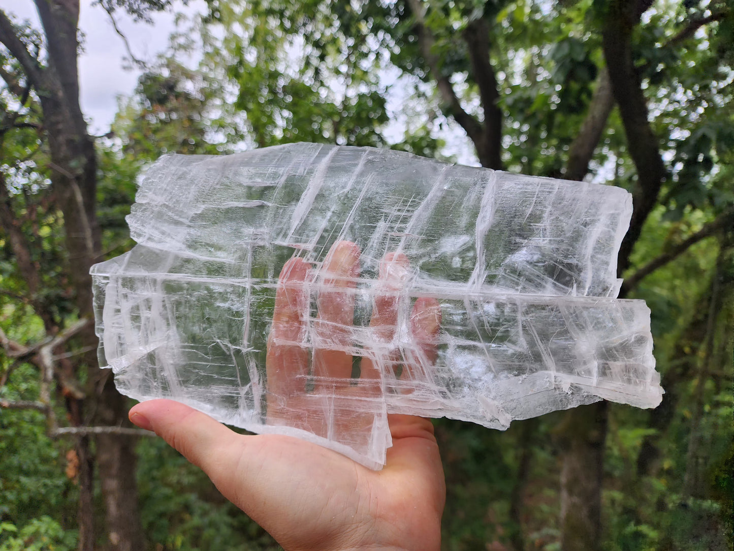 Large True Selenite Crystal Plate