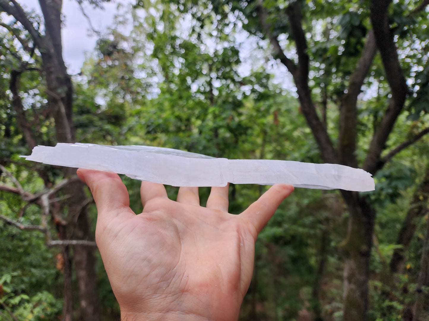 Large True Selenite Crystal Plate