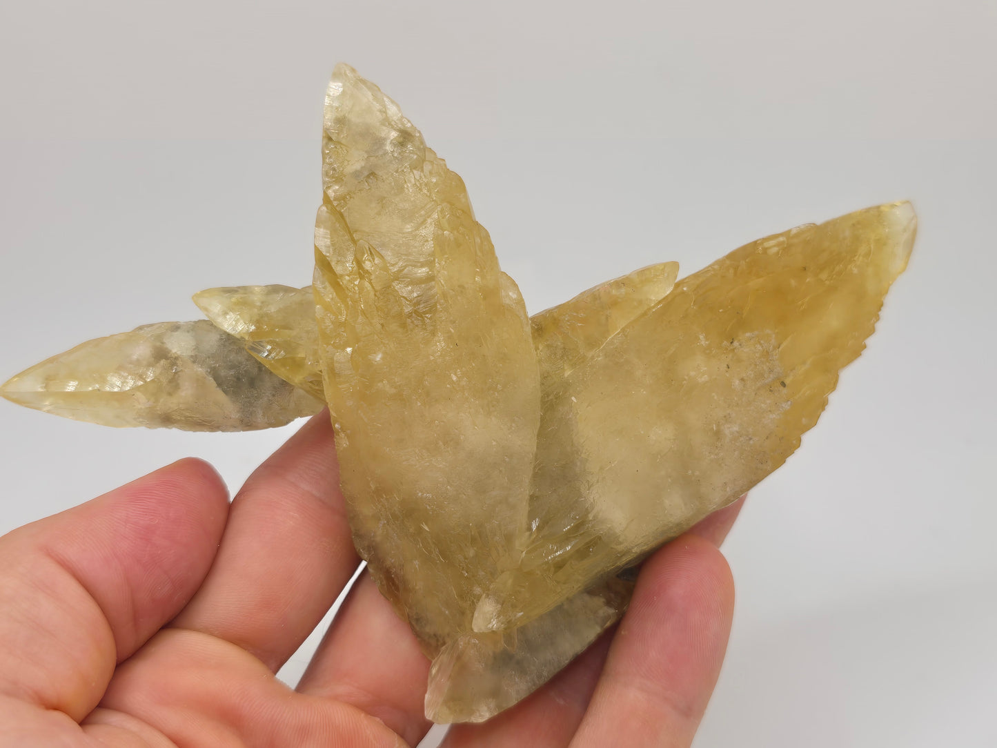Sweetwater Calcite Cluster || #90