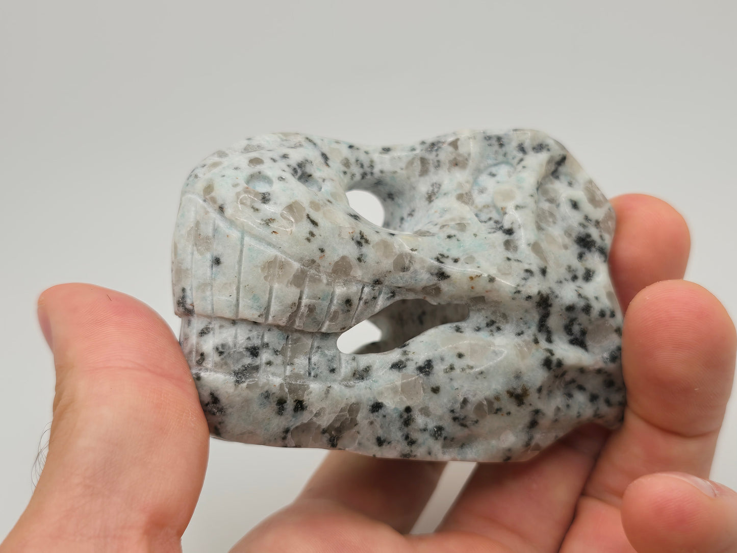 Kiwi Jasper T-Rex Skull || Dinosaur Skull || T-Rex Carving || #83