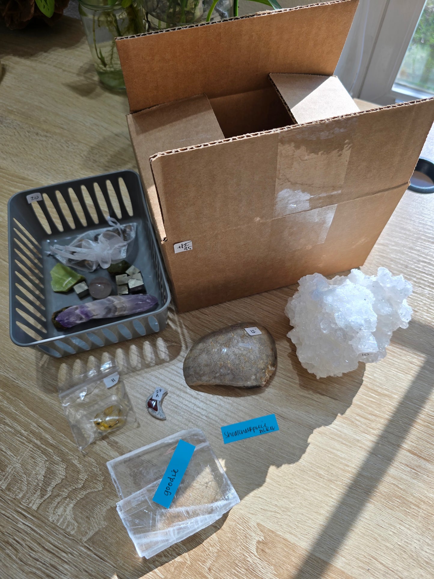 Shoalcreekpiecepicker 12/7 live sale