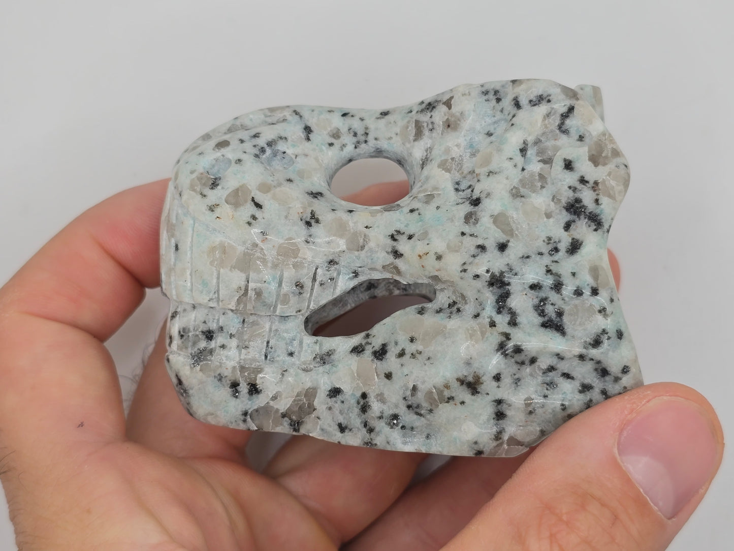 Kiwi Jasper T-Rex Skull || Dinosaur Skull || T-Rex Carving || #83