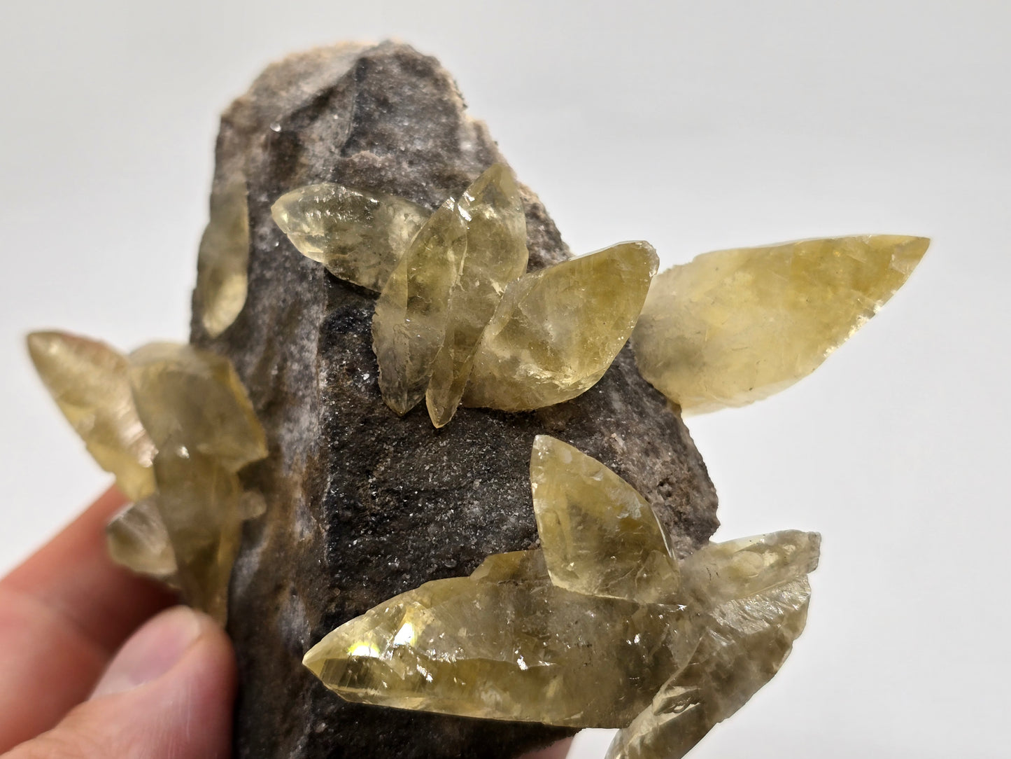Sweetwater Calcite Cluster with Maracsite || #102