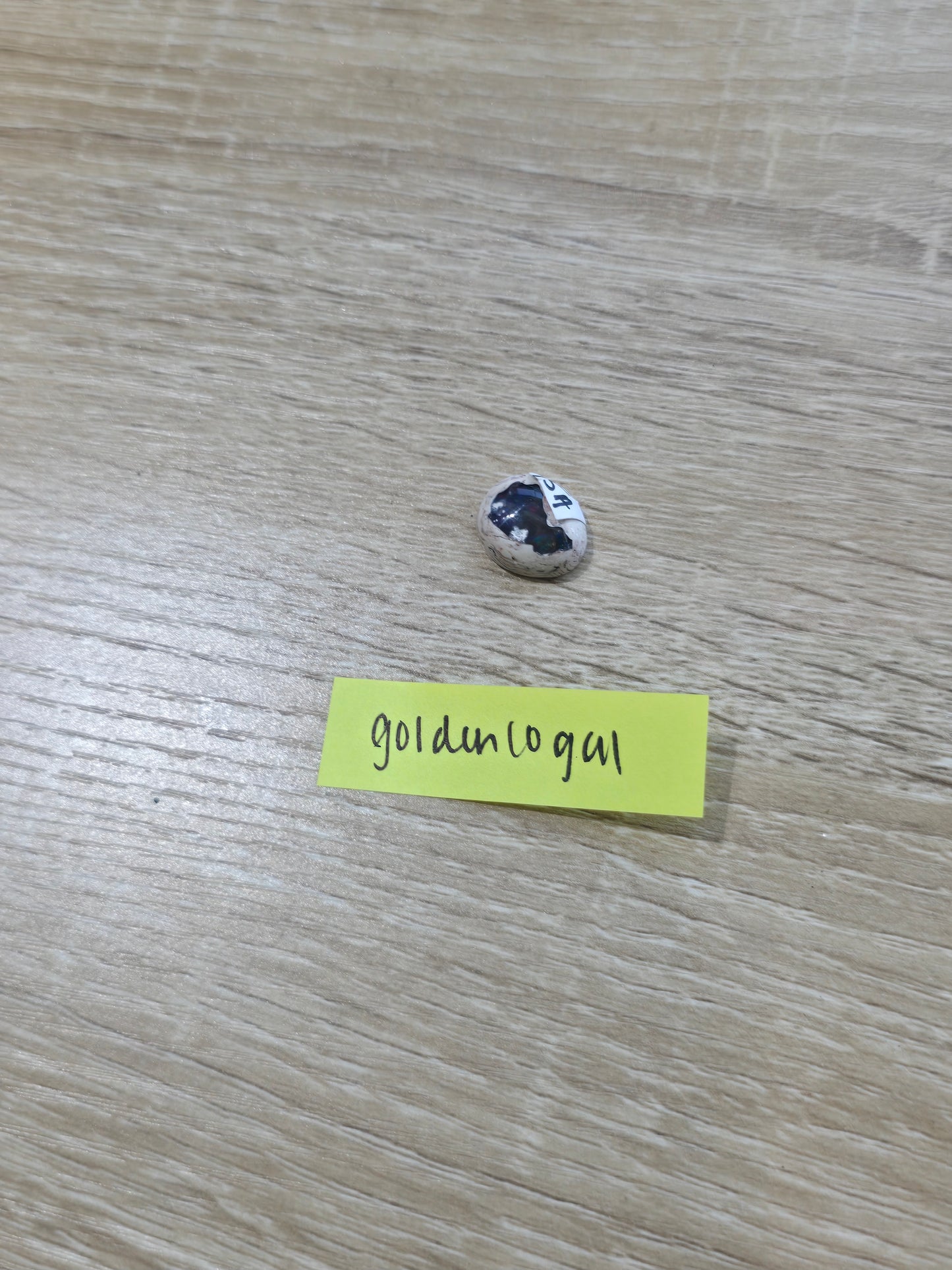 Goldencogal 8/8 story sale