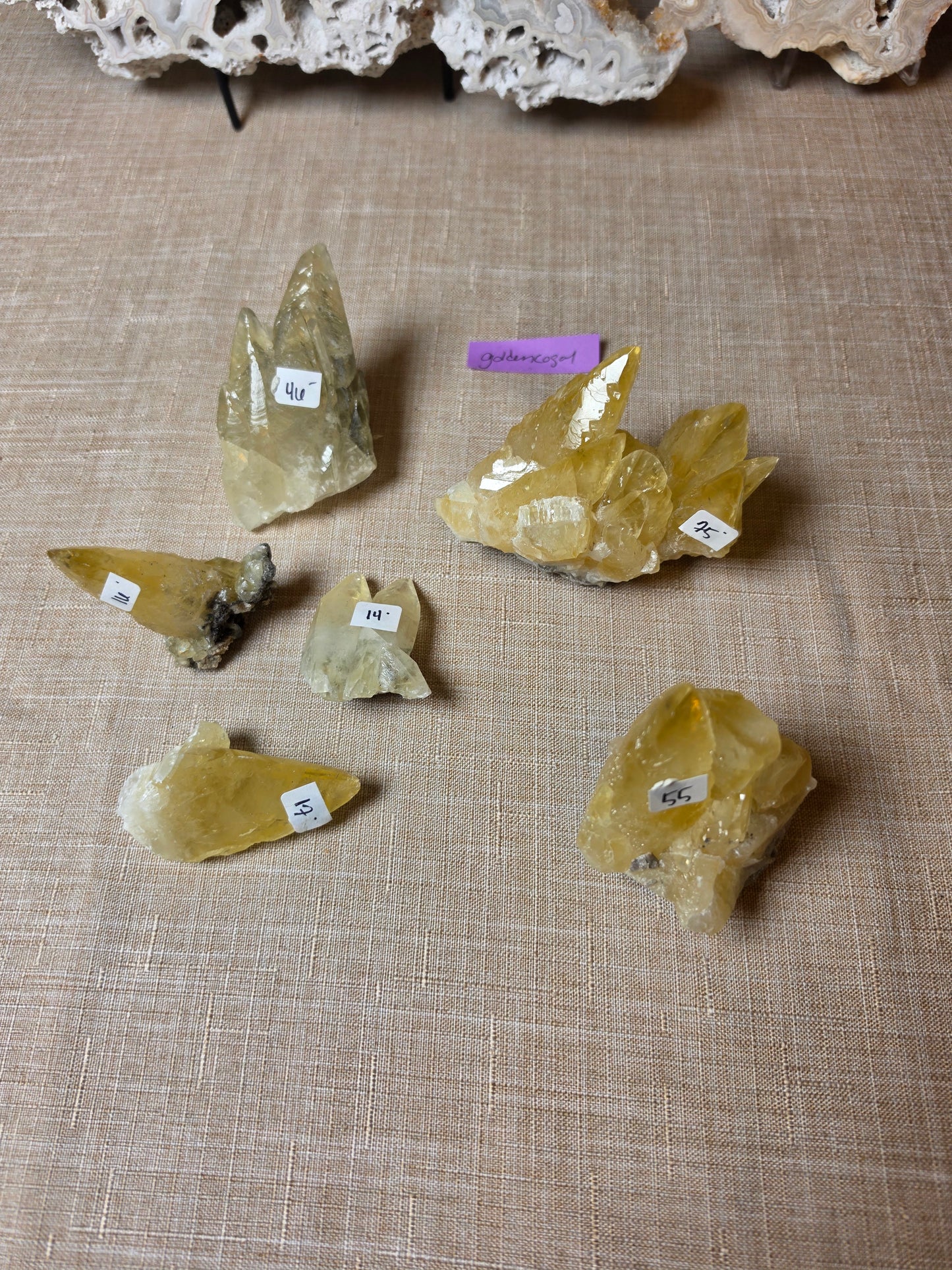 Goldencogal 9/18 livesale/story sale