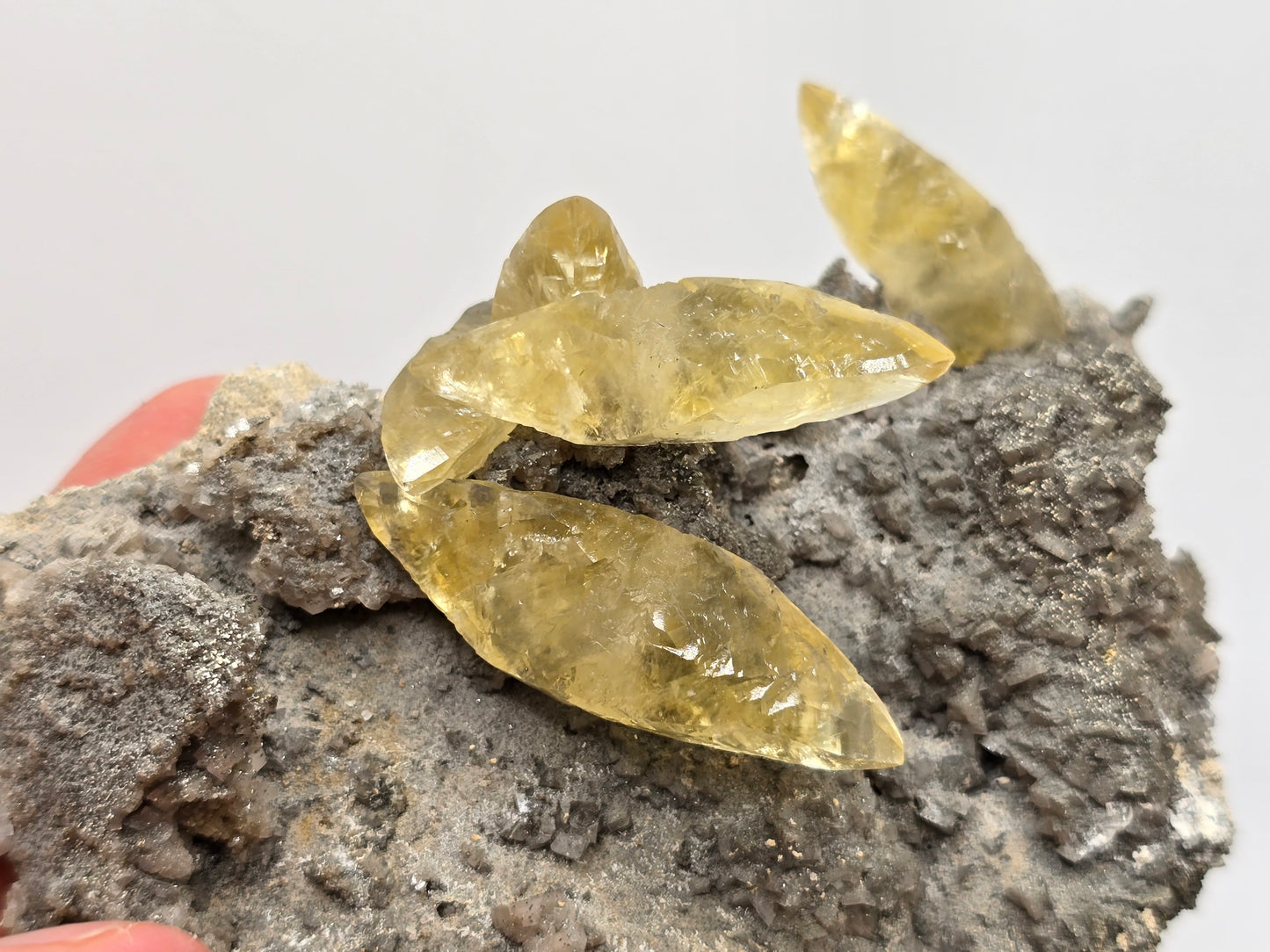 Sweetwater Calcite Cluster || #101