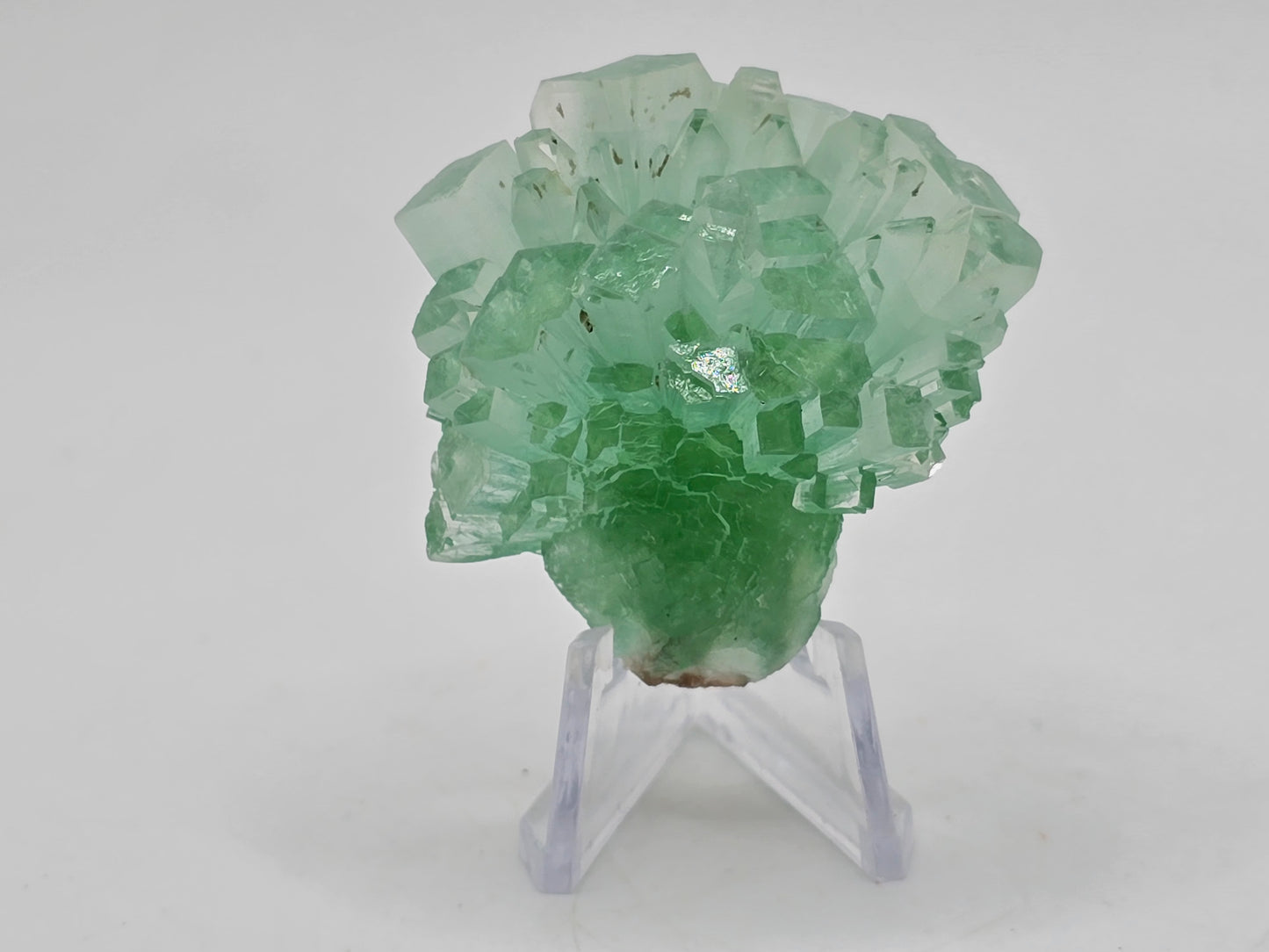 Disco Ball Green Apophyllite || #105