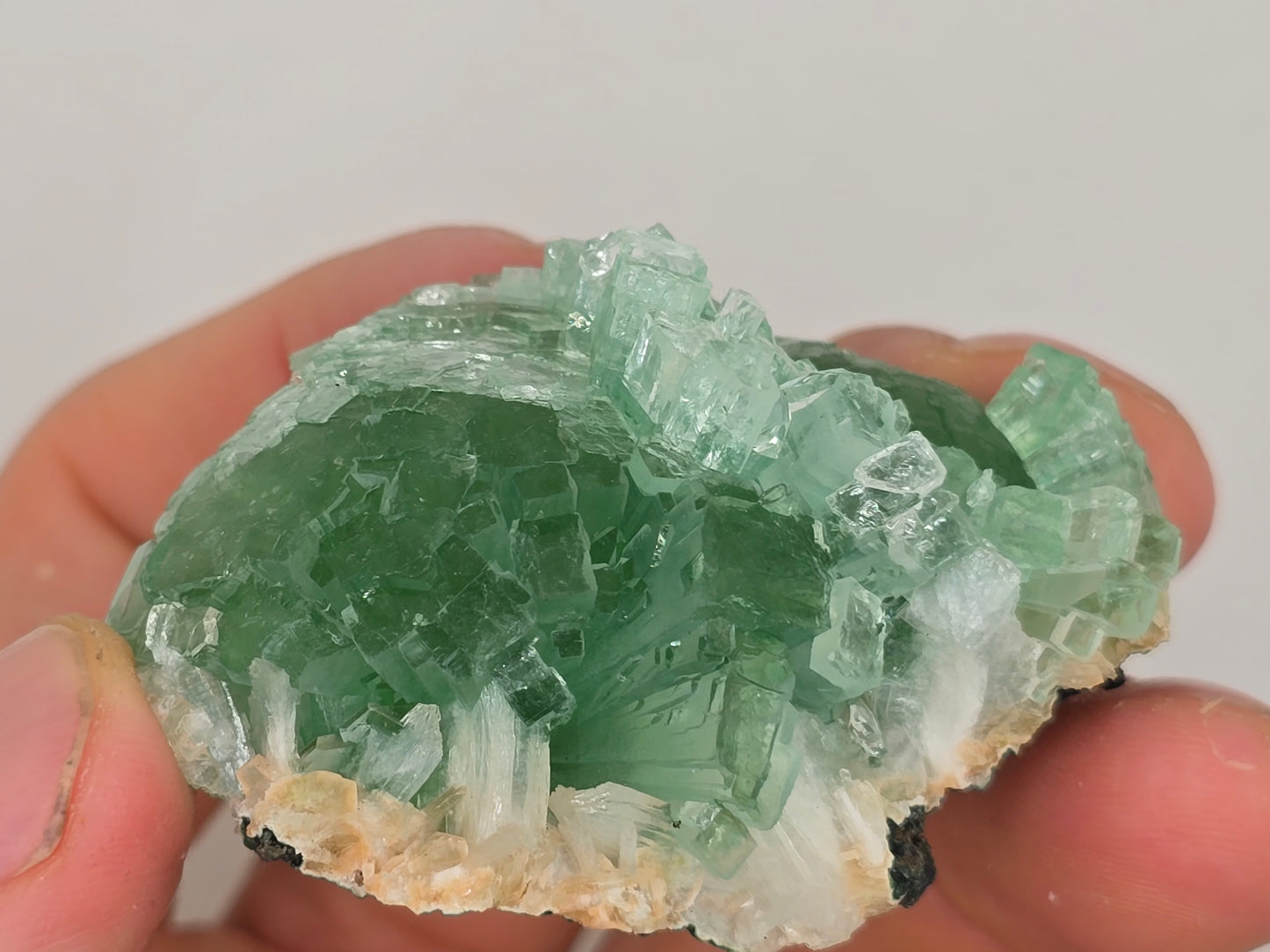 Disco Ball Green Apophyllite Cluster || #107