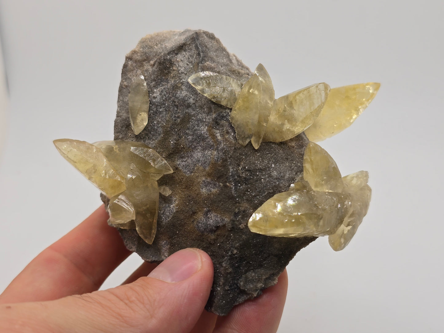 Sweetwater Calcite Cluster with Maracsite || #102