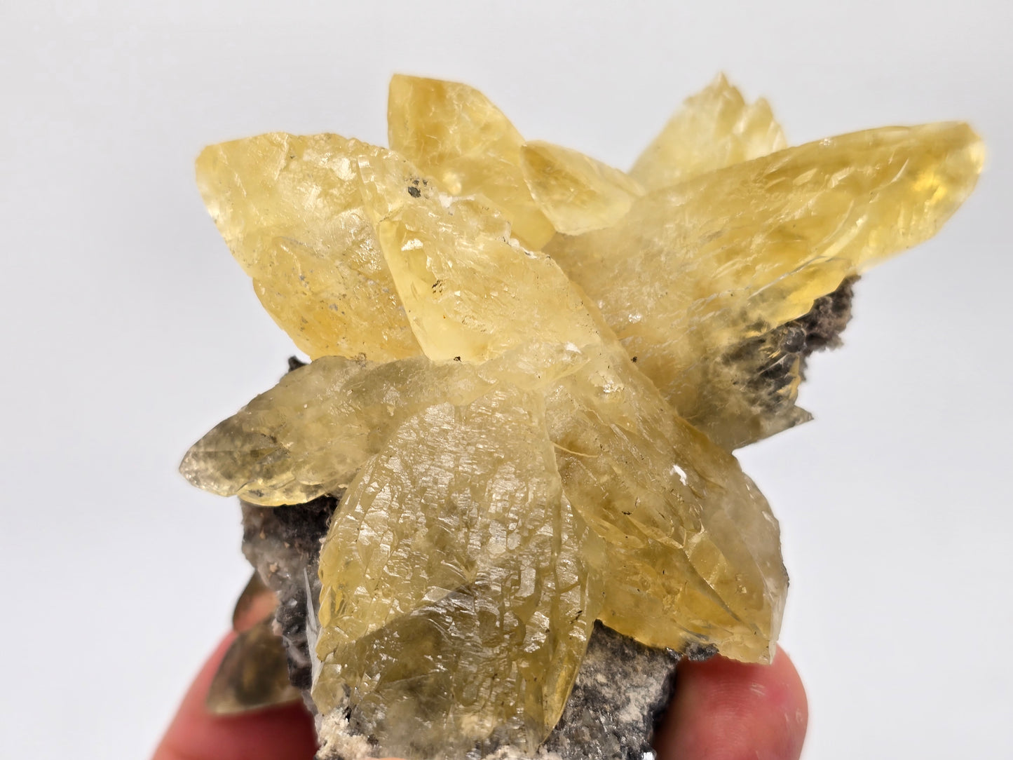 Sweetwater Calcite Cluster || #87