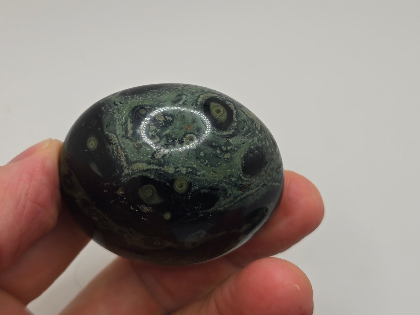 Kambaba Jasper Palmstone
