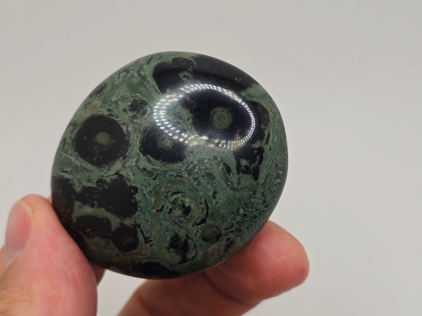Kambaba Jasper Palmstone