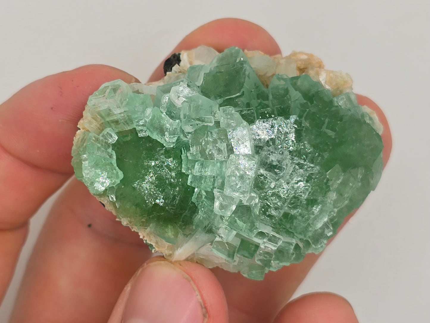 Disco Ball Green Apophyllite Cluster || #107