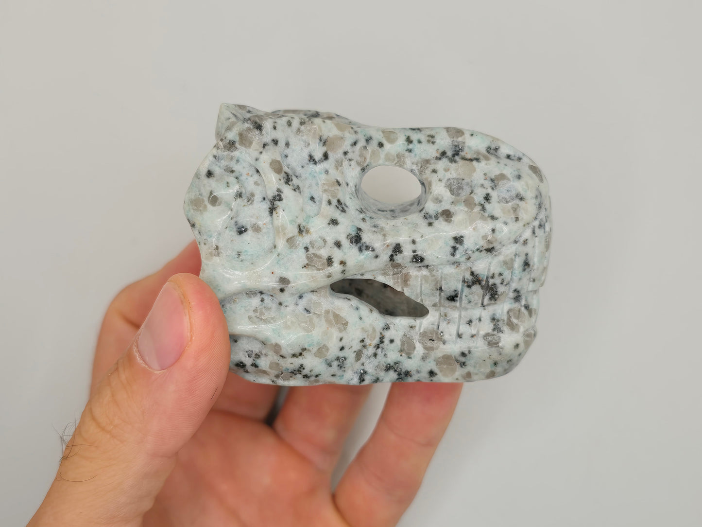 Kiwi Jasper T-Rex Skull || Dinosaur Skull || T-Rex Carving || #83