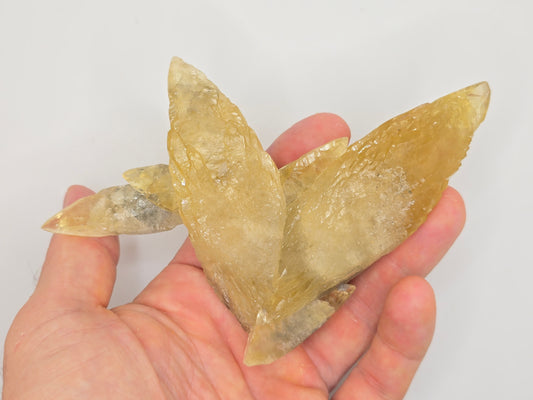 Sweetwater Calcite Cluster || #90