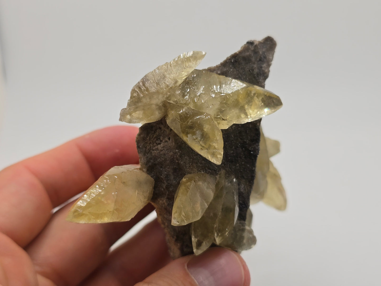 Sweetwater Calcite Cluster with Maracsite || #102