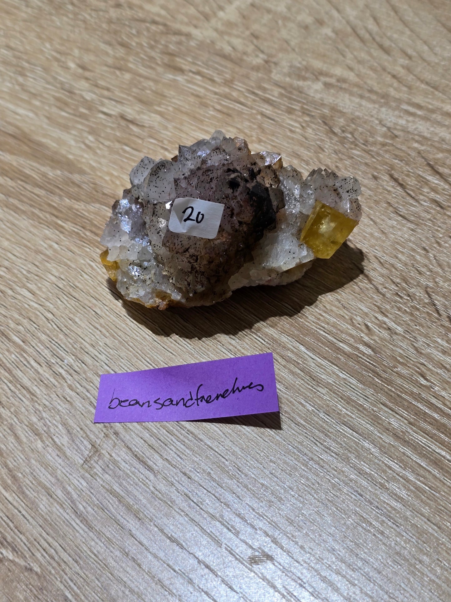 Beansandfrenchies 6/7 live sale