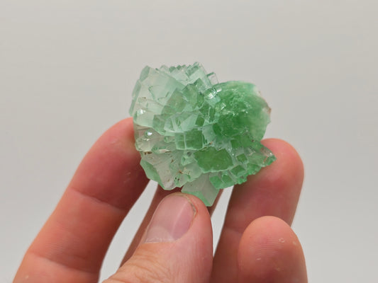 Disco Ball Green Apophyllite || #105