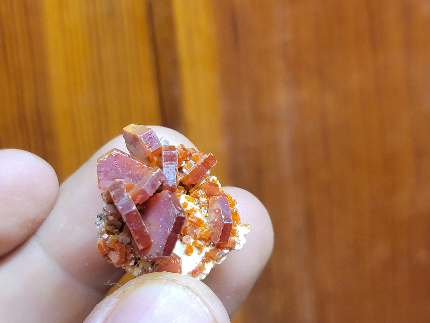 Vanadinite Crystal Cluster || Vanadinite Specimen || Choose Your Size