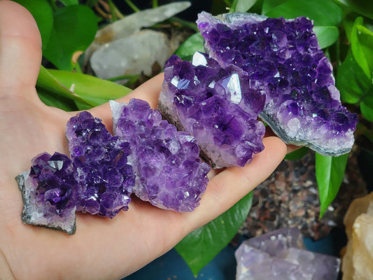 Raw Deep Purple Amethyst || Raw Uruguay Amethyst Crystal Cluster || Pick your size!!