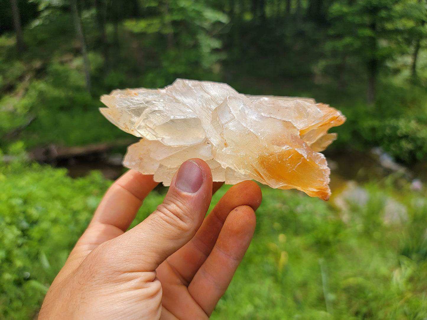Terminated Golden Phantom Selenite Crystal || Sacral Selenite || Utah Selenite Slices || Master Healer Crystal