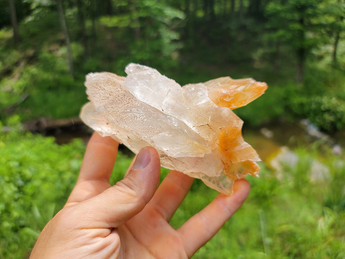 Terminated Golden Phantom Selenite Crystal || Sacral Selenite || Utah Selenite Slices || Master Healer Crystal
