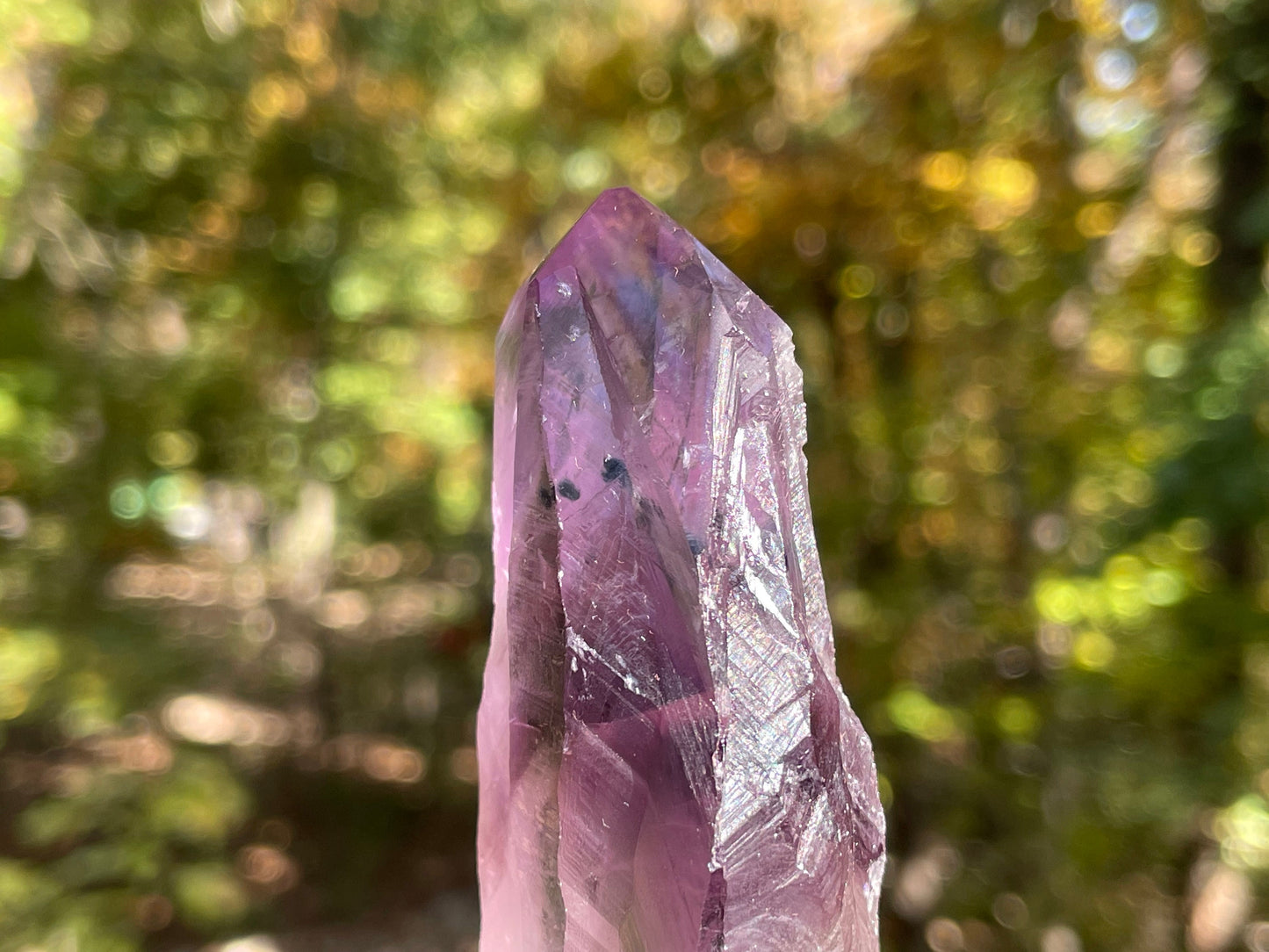 Amethyst Dragons Tooth || Bahia Amethyst Point || Amethyst Point with Root || Huge Amethyst Wand