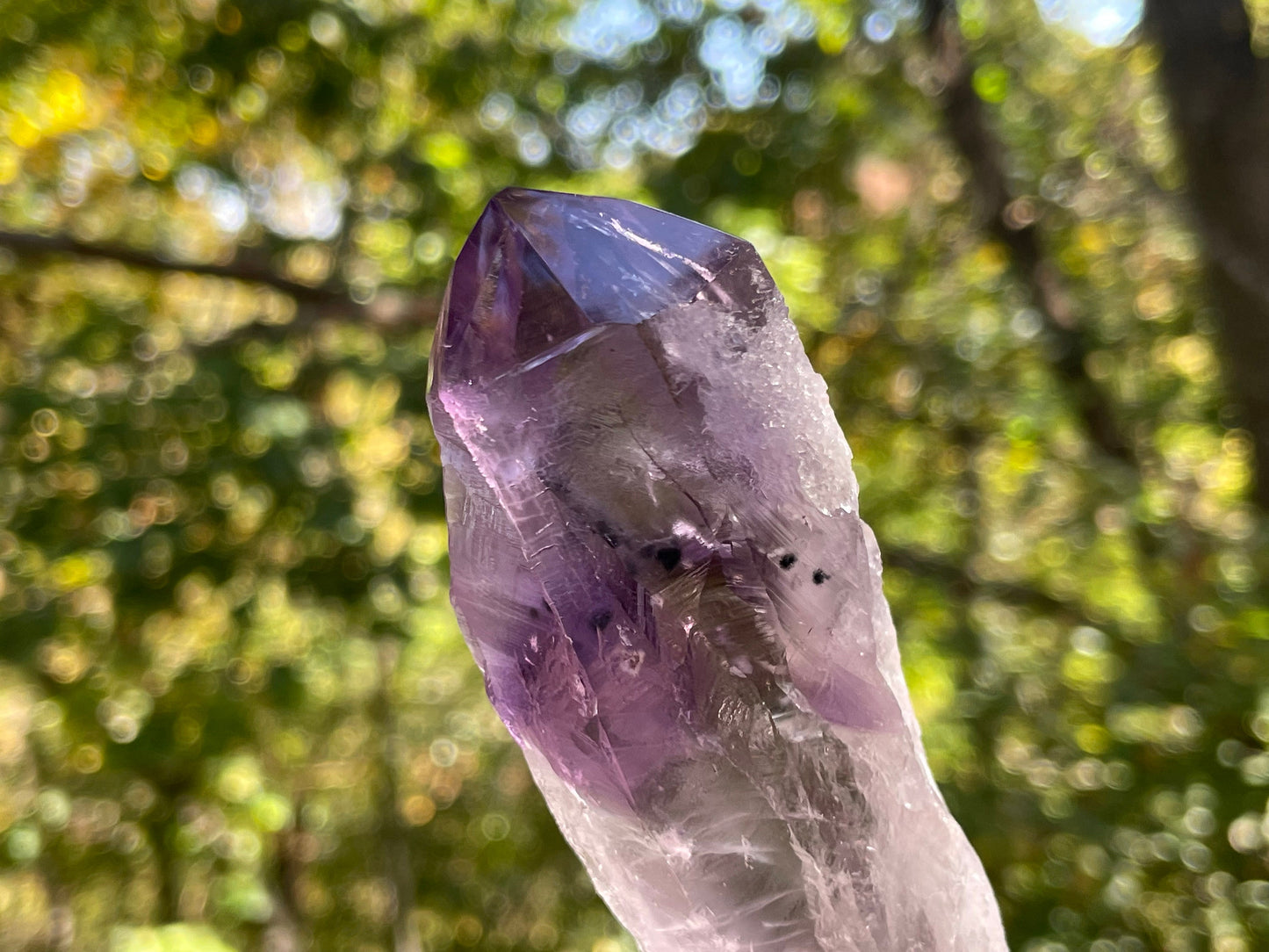 Amethyst Dragons Tooth || Bahia Amethyst Point || Amethyst Point with Root || Huge Amethyst Wand